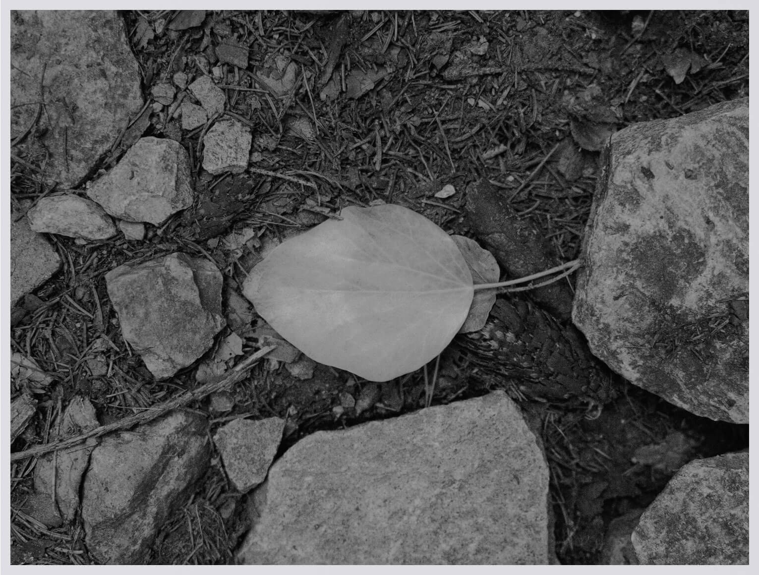christian-leban_photo-09