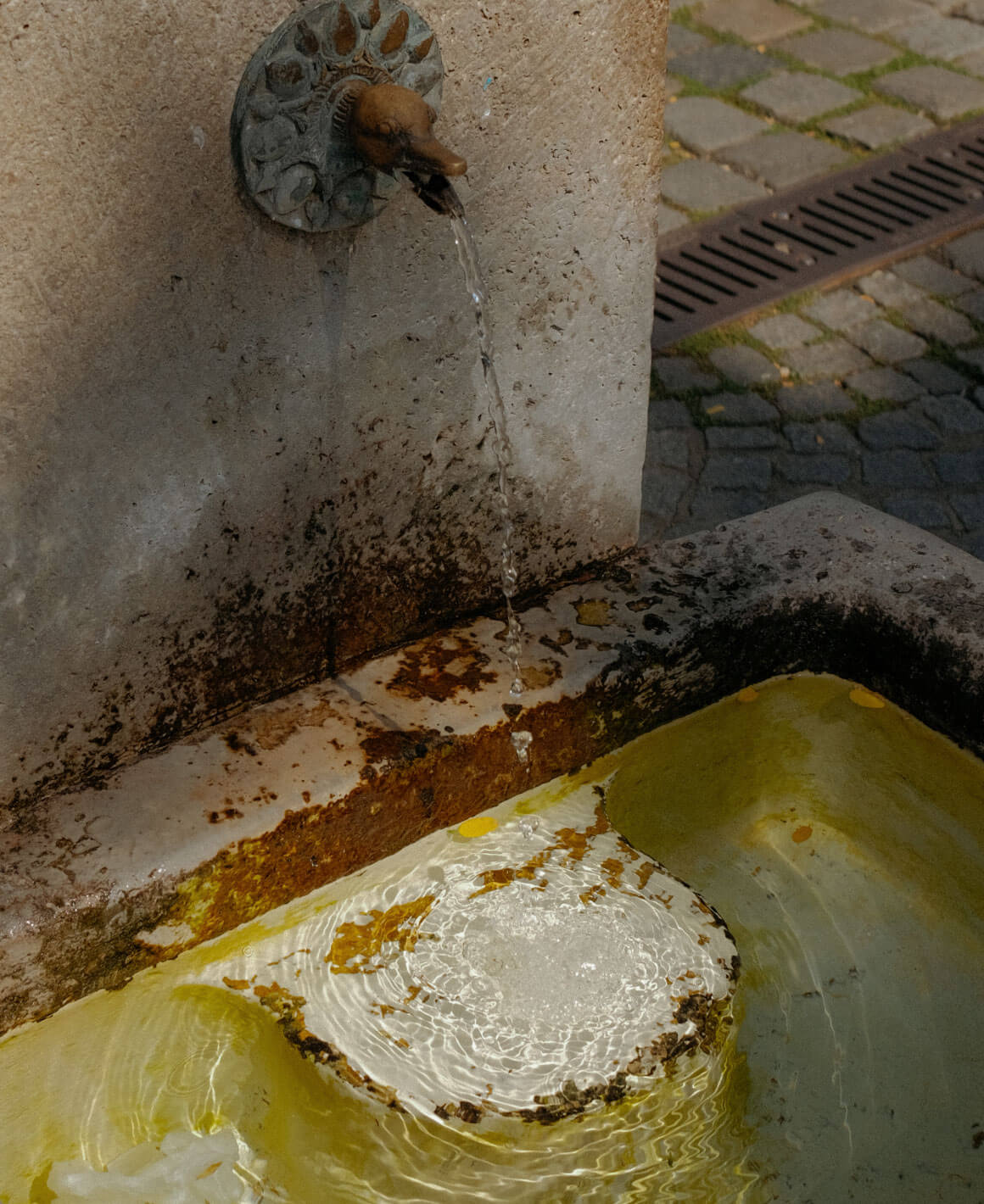 christian-leban_photo-15